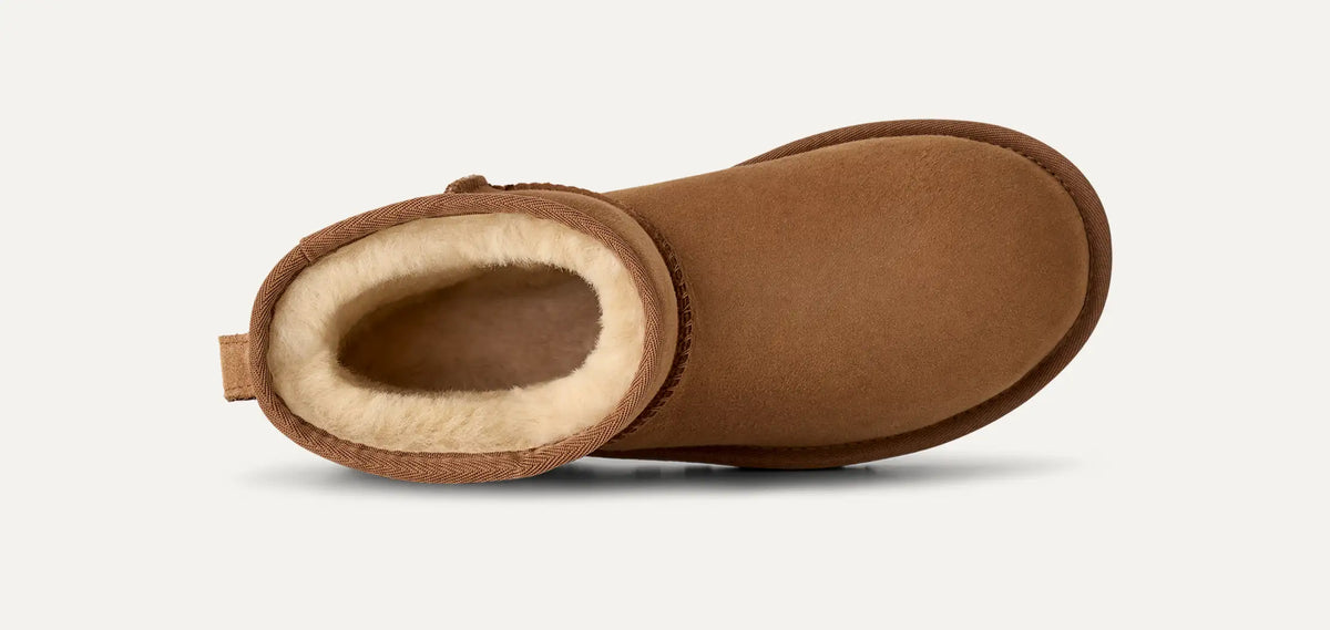 Women's Classic Mini II - Chestnut
