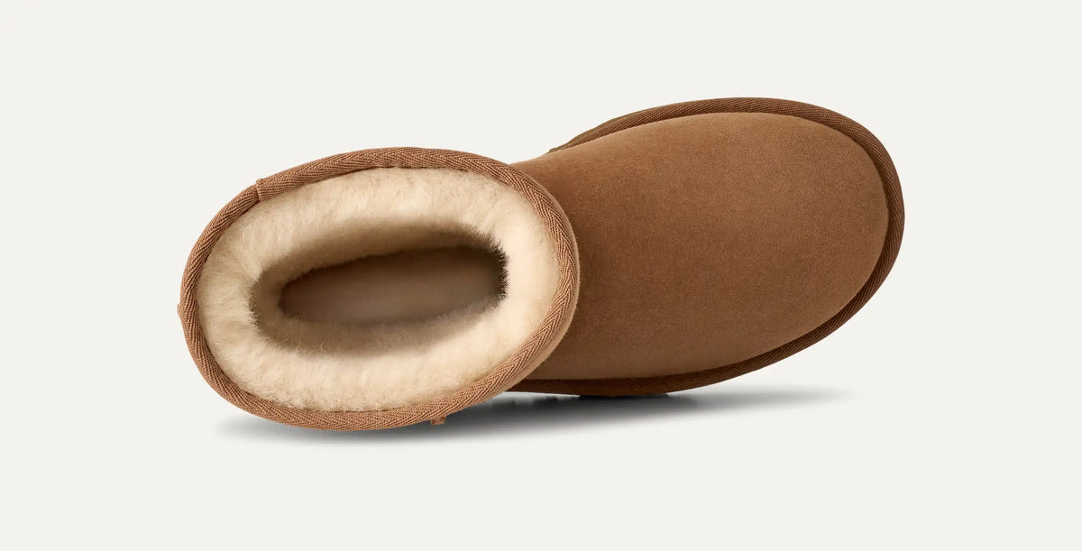 Women's Classic Short II - Chestnut