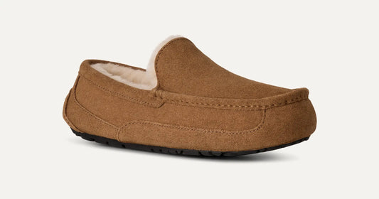 Men's Ascot - Chestnut
