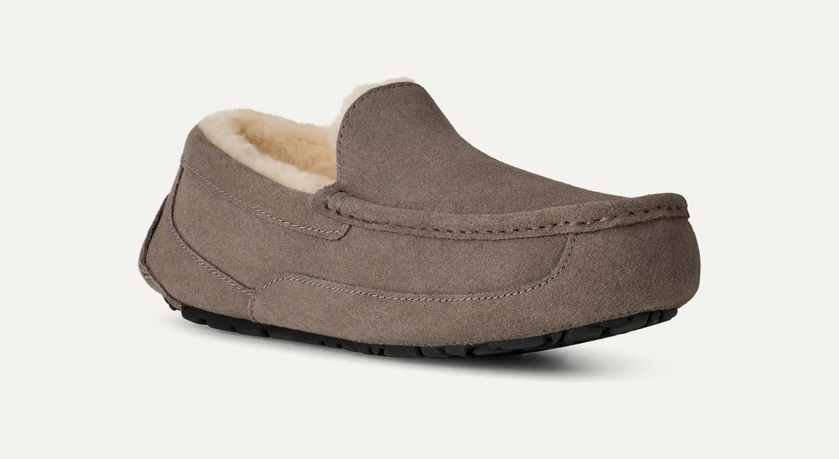 Men's Ascot - Grey