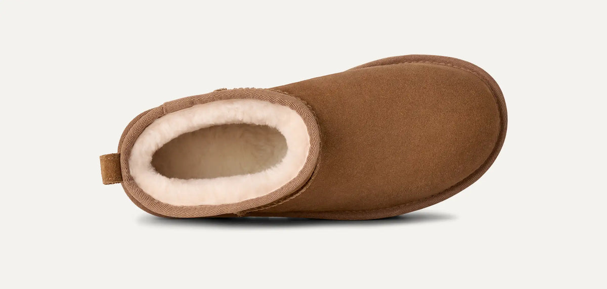 Women's Classic Ultra Mini Platform - Chestnut