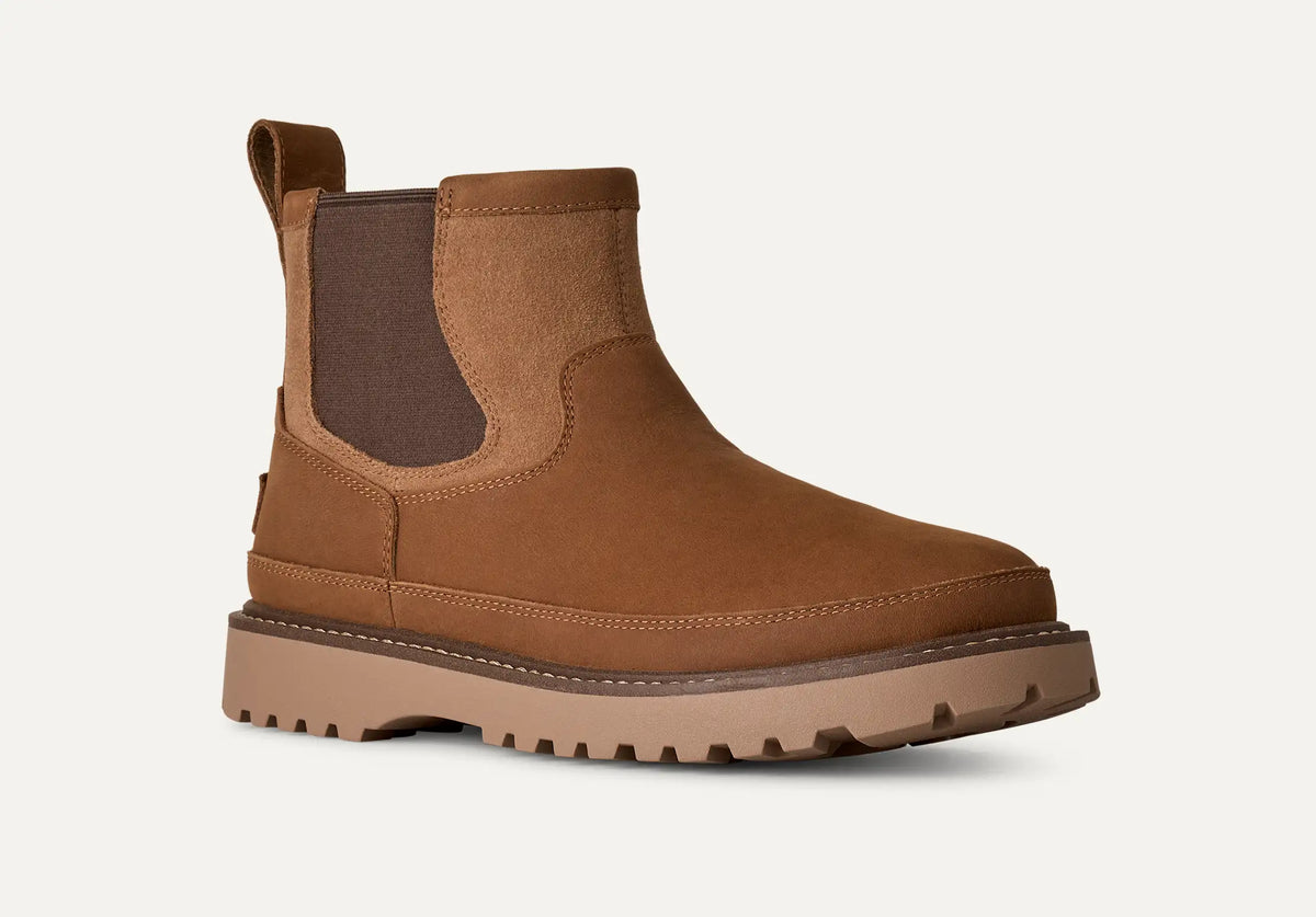 Men's Birch Chelsea - Chestnut